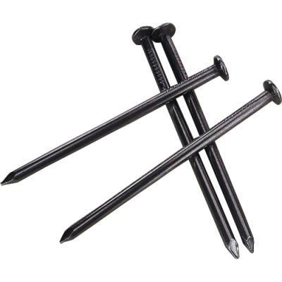 Construction Nails Steel Concrete Nails Common Iron Nail for Building Construction