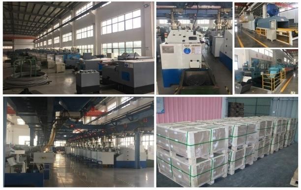 High Quality Stainless Steel Straight Pin Drive Shaft