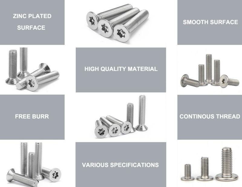 Stainless Steel Round Head Bolt A2-70 Torx Socket Screw 304 Torx Drive Flat Head Machine Screw
