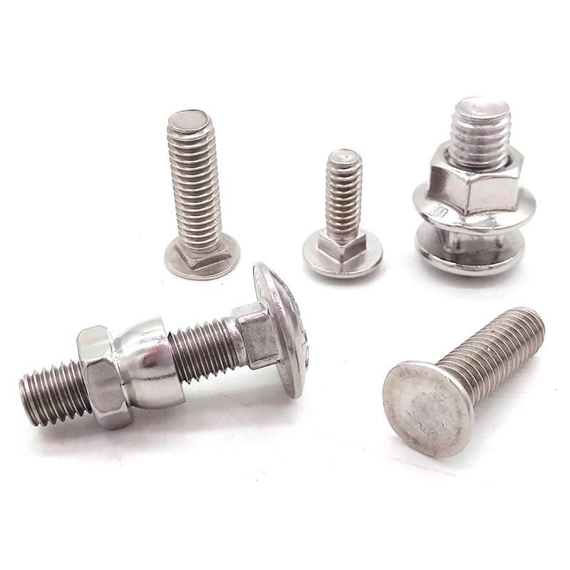 Stainless Steel304 DIN603 Mushroom Head Square Neck Carriage Bolts-5