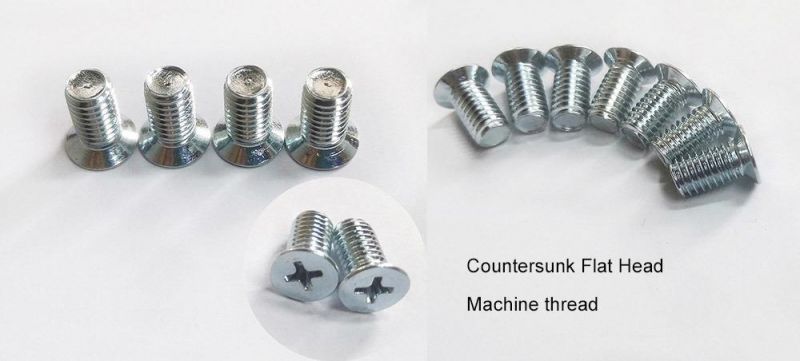 Flat Head/Pan Head Self Tapping Machine Thread Zinc Plated Furniture Forming Screw/Carbinet Handle Hinge Screws