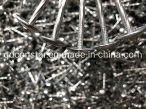 Hot Sale China Supplier Galvanized Twisted Roofing Nail with Big Umbrella Head