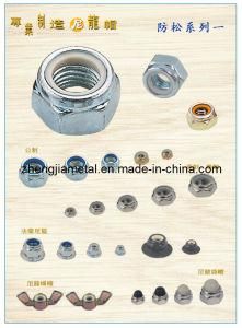 Stainless Steel Hex Nylon Nut