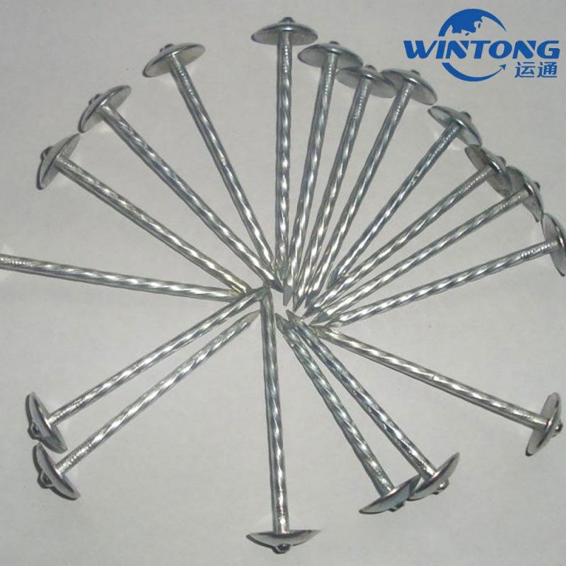 Hardware Roofing Nail /Galvanized Roofing Nail