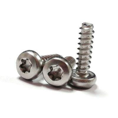 Stainless Steel Wn1412 Pan Torx Head Self Tapping Screws for Plastic