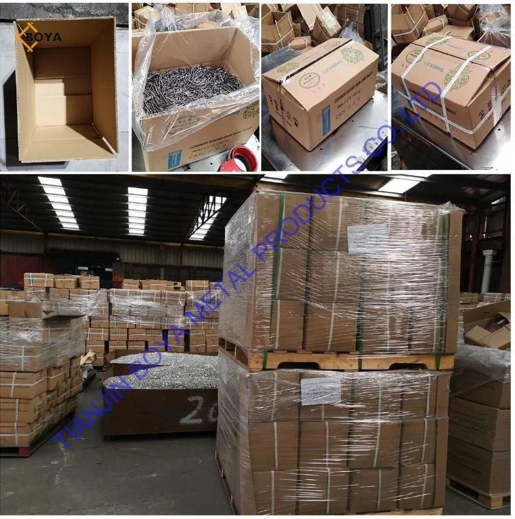 Factory Price Common Nail/ Iron Nail/Wood Nail/Building Nail/Concrete Nail/Roofing Nail