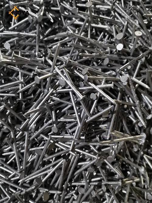 Common Nail Common Wire Nail Wholesales Factory 1 Kg Per Box 25kgs Per Carton Iron Nails
