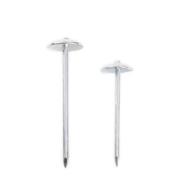 Good Quality Umbrella Roofing Nail Galvanize Umbrella Head Roofing Nails