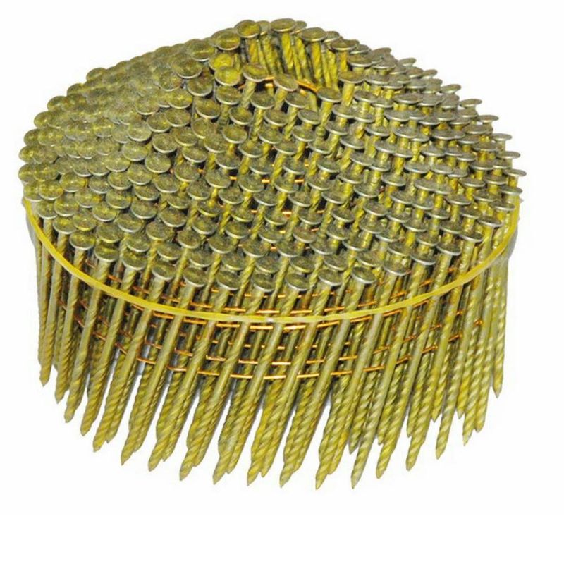 Galvanized Screw Shank Wire Conical Coil Nails