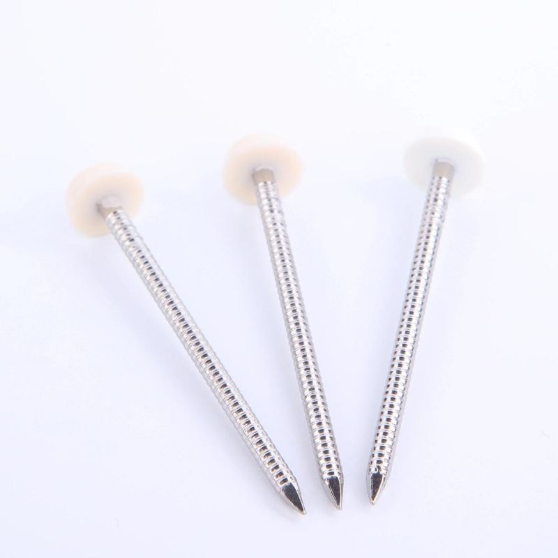 Screw Self Tapping Screw Drywall Chipboard Screw Furniture Screw Machine Screw