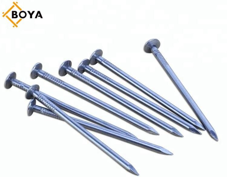 Tianjin Boya Factory Polished 1 - 6" Common Iron Nail