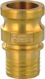 Brass En14420-7 Camlock Coupling Type E Multi-Barbs Hose Tail with Collar