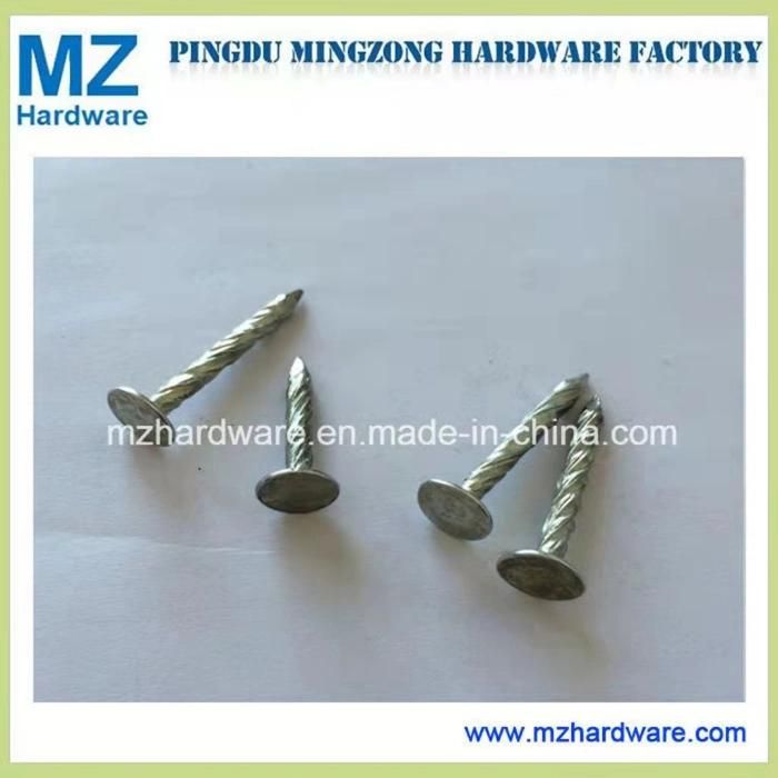 Big Head Flat Head Clout Roofing Nail Electro-Galvanized Clout Nail Roofing Nail