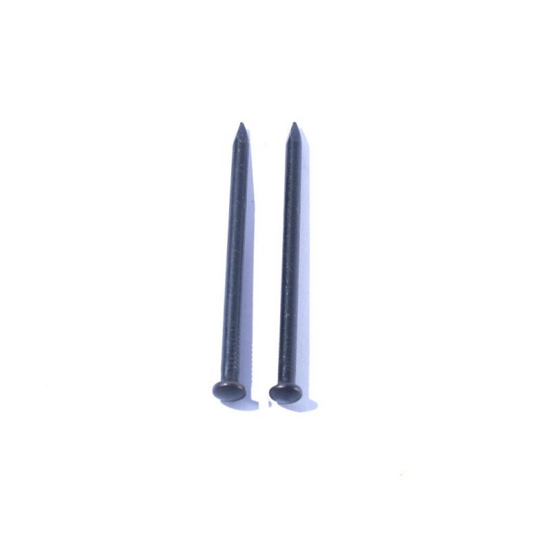 Best Quality Black Steel Concrete Nails 1"-4" Concrete Nails South Africa Market