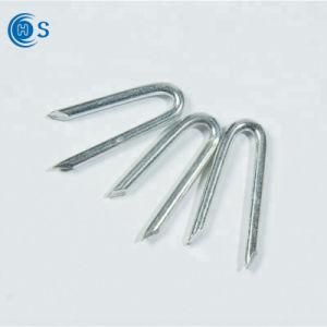 Best Prices Stainless Steel U Shaped Type Gas Nail for Fence Staples
