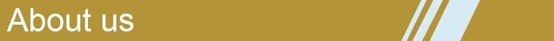 Mf Equal Nickel Plate 3-Way Brass Thread Fitting Tee