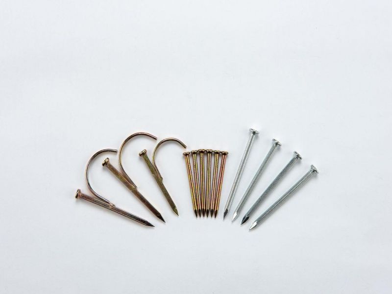 Factory Supply Construction1-2 Inches Steel Nail
