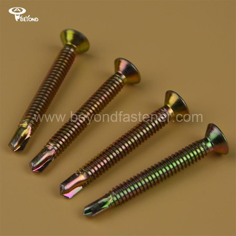 Screw/Self Tapping Screw/Fasteners/Bolts