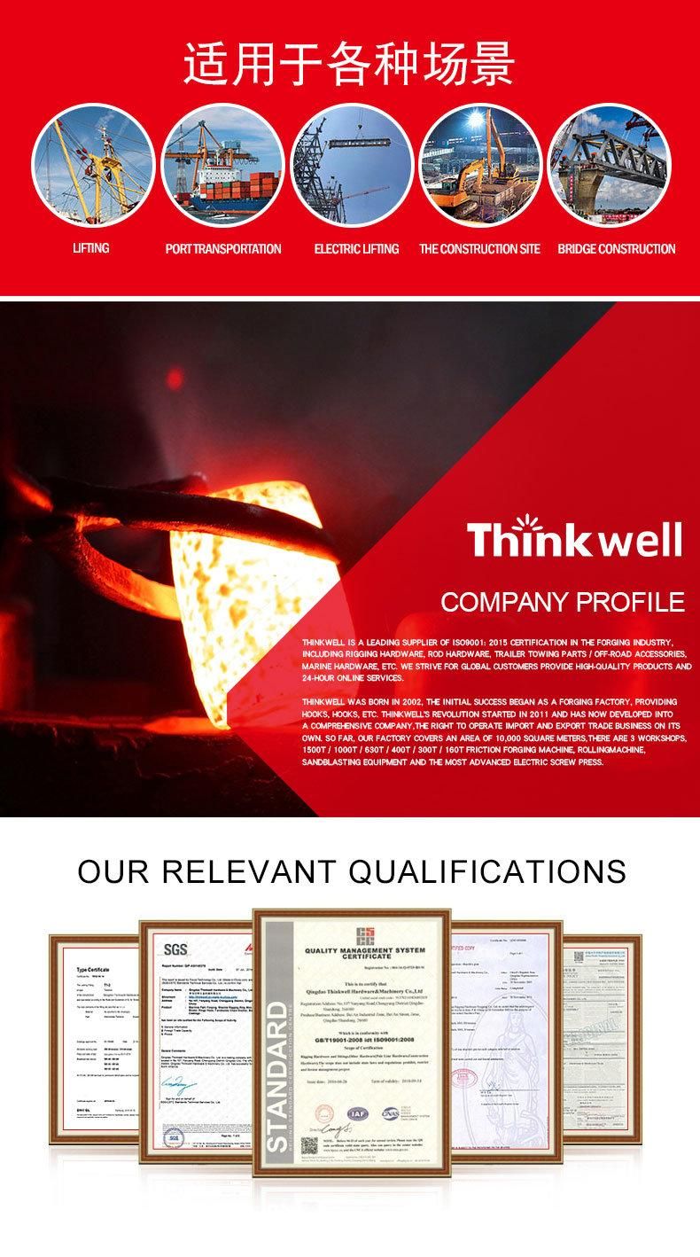 Thinkwell Drop Forged Steel DIN580 Lifting Eye Bolt
