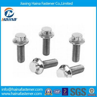 Stainless Steel 18-8 12 Point Flange Bolts