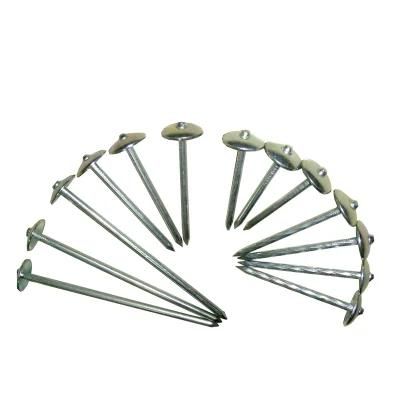 Galvanized Umbrella Head Roofing Nail