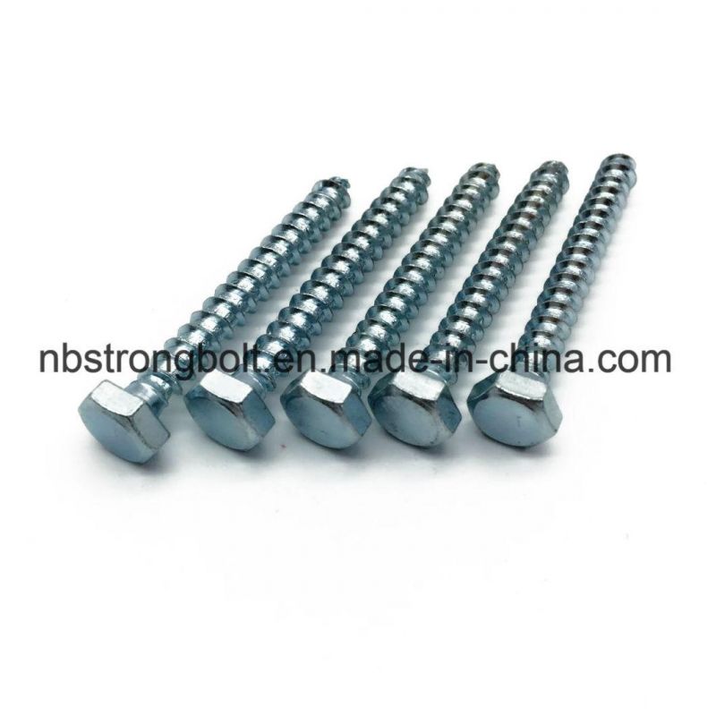 DIN571 Hex Head Lag Screw with Zinc Plated More Than 10 Years Produce Expricence Factory