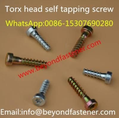 Torx Bolts/Torx Screw/Bolts/Fastener
