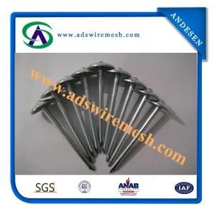 Head Sheet Cover Umbrella Roofing Nails with Shank
