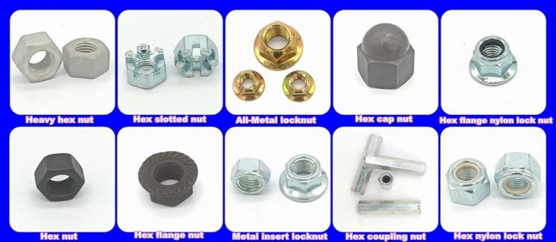 Stainless Steel U Clip Nut