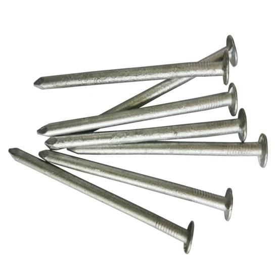 Best Quality Galvanized Common Nail
