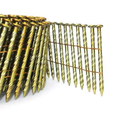 Coil Nail for Construction &amp; Decoration