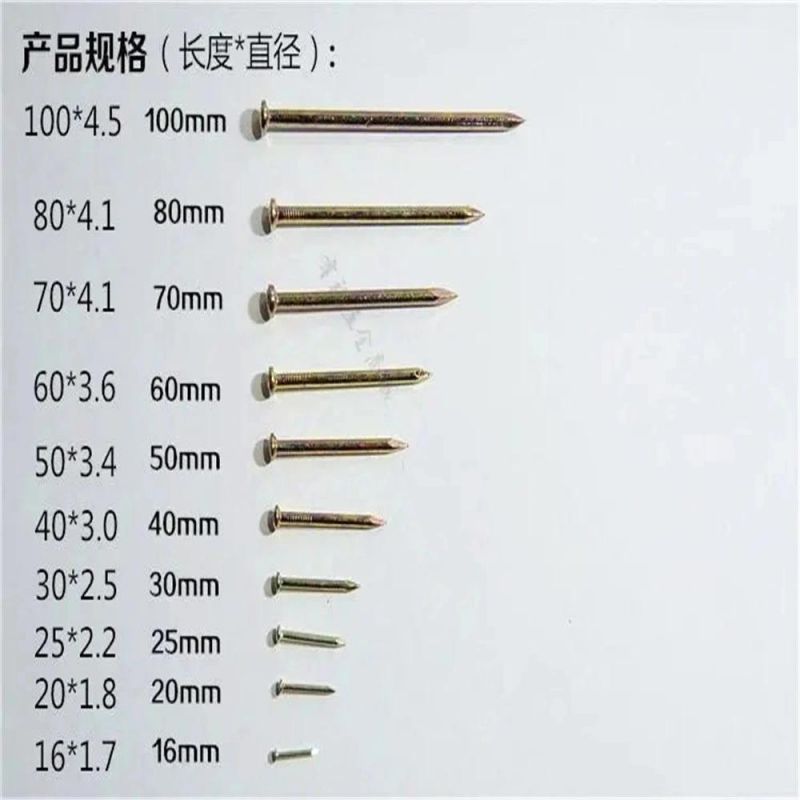 Galvanized Cement Steel Nail Concrete Steel Nail