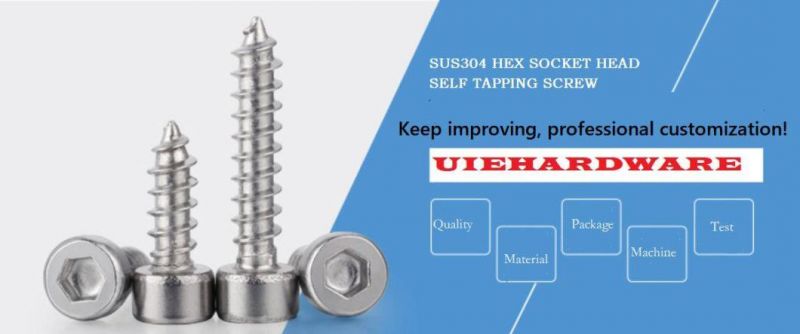 Stainless Steel Allen Hex Socket Cap Head Self Tapping Screws