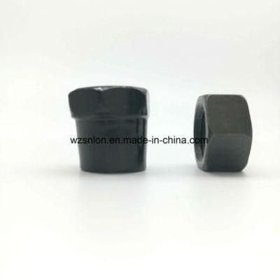 Black Finish Hex Nut Hexagon Head Nut