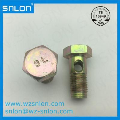 Custom Hex Head Cap Screw with Holes for Auto Parts
