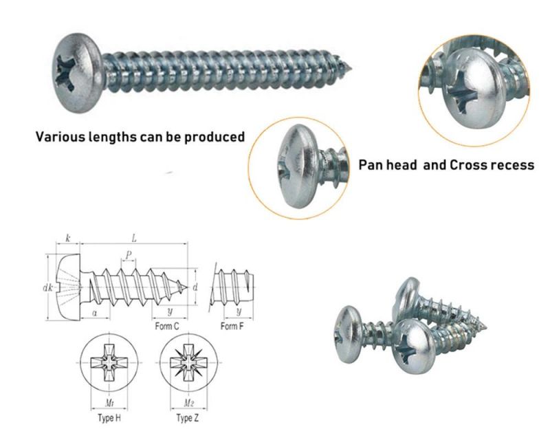 High Qualitypan Head Phillips Drive Blue Clear Bright Zinc Plated Self Tapping Sheet Metal Screw Factory