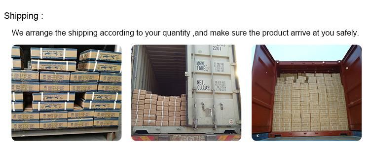 Wholesales Electro Galvanized Roofing Nails
