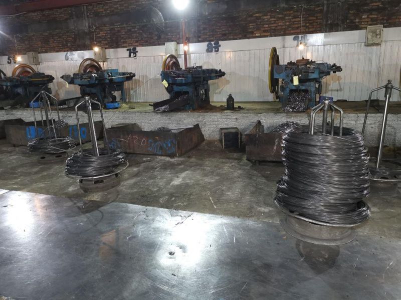 DIN 7504p Cross Countersunk Drill Self-Tapping Screw for Africa