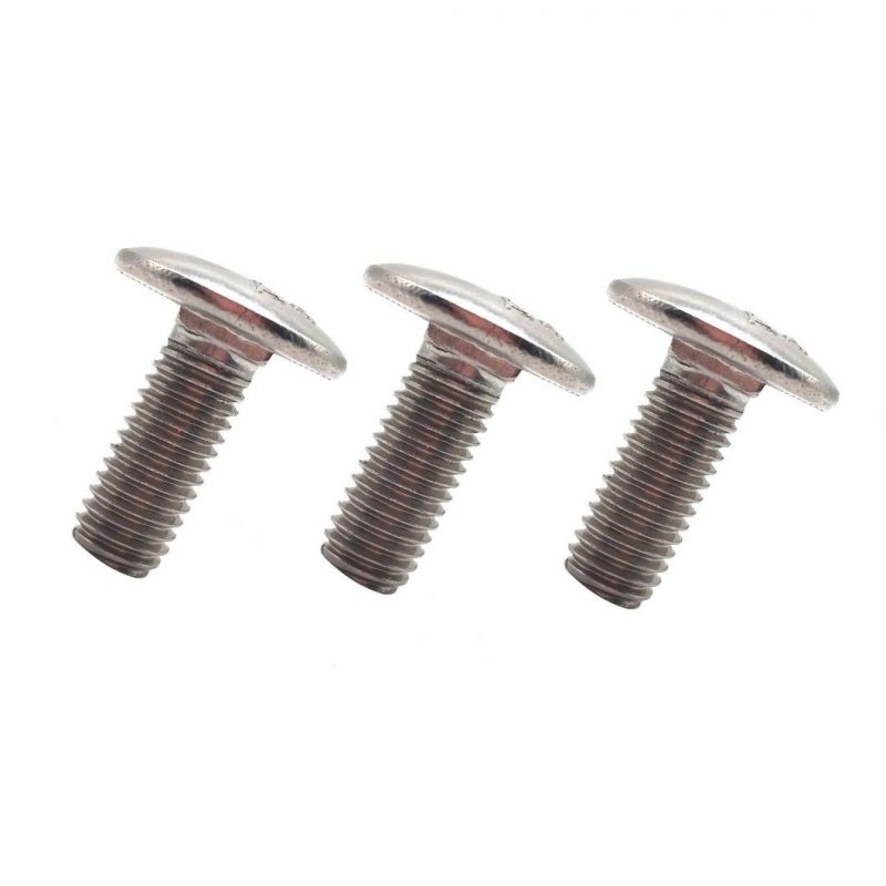Stock Stainless Steel 304 316 Carriage Bolts -5