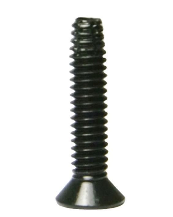 Torx Drive Flat Head Type F Thread Floorboard Cutting Screw C1022 Black