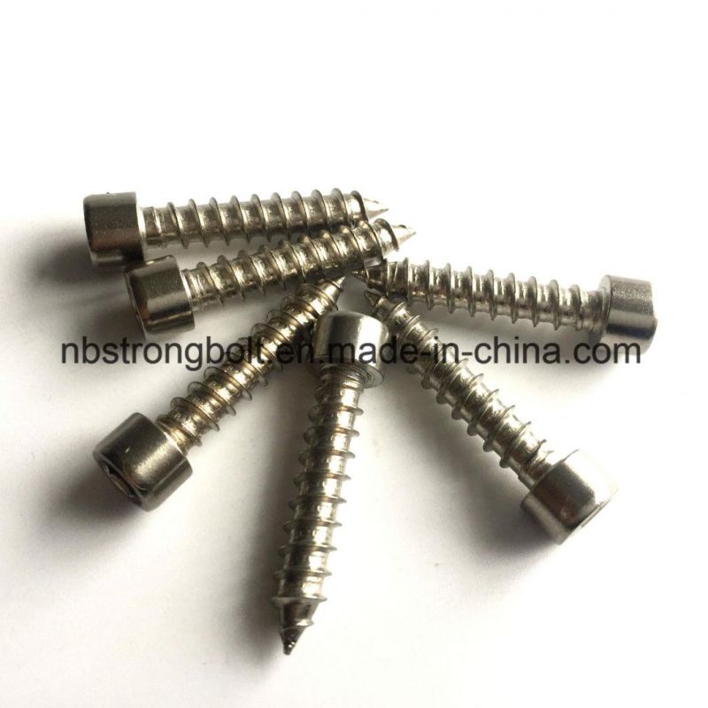 Self Tapping Screw, Socket Head Self Tapping Screw