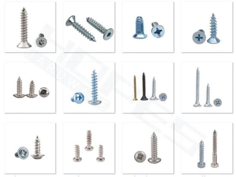 China Supplier Slotted Truss Head Phillips Screws