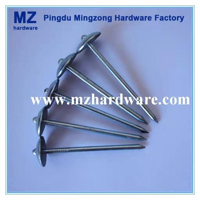 China Bwg9*2.5" Twisted Shank Roofing Nail
