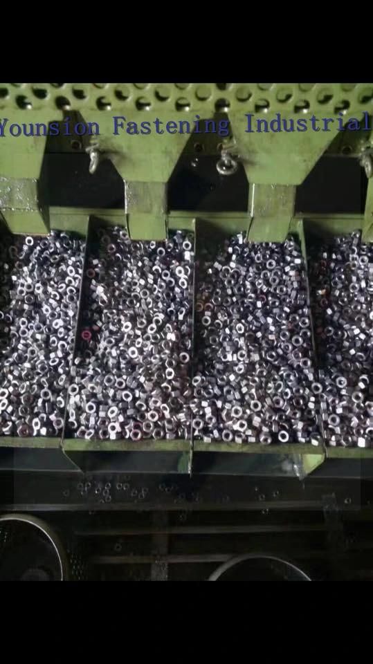 Stainless Steel SS304 and Ss310 Hex Nut