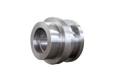 Stainless Steel Ring/Flange/Blank and Complete Sets of Equipment