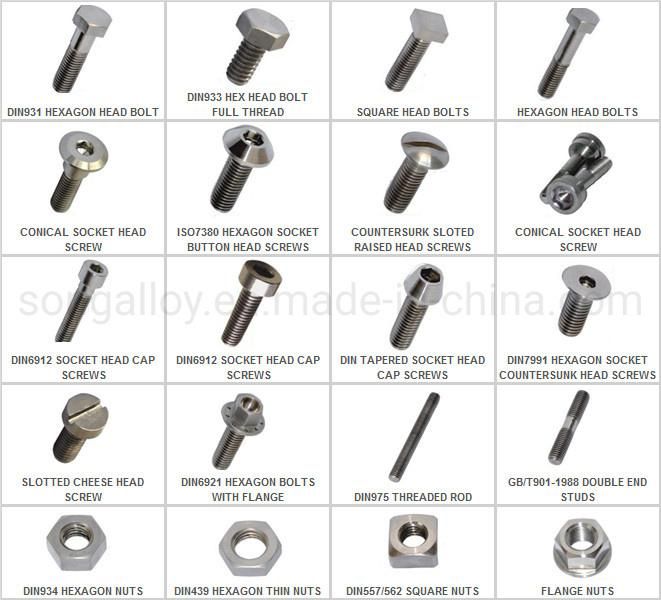 Round Head Inner Torx Screw in Stainless Steel Screw Titanium Screw GB2671