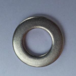 Flat Washer (2.4819)