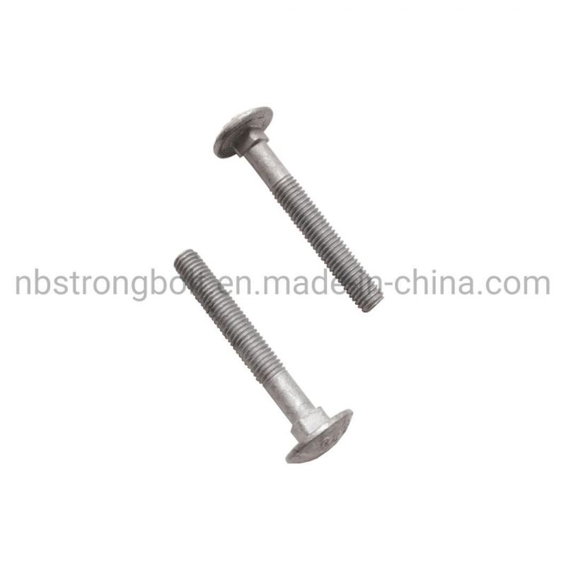 DIN603 Carriage Bolt with HDG