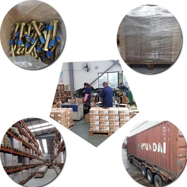 Fasteners Manufacturer Galvanized 8.8 10.9 12.9 Rail Bolt and Nut