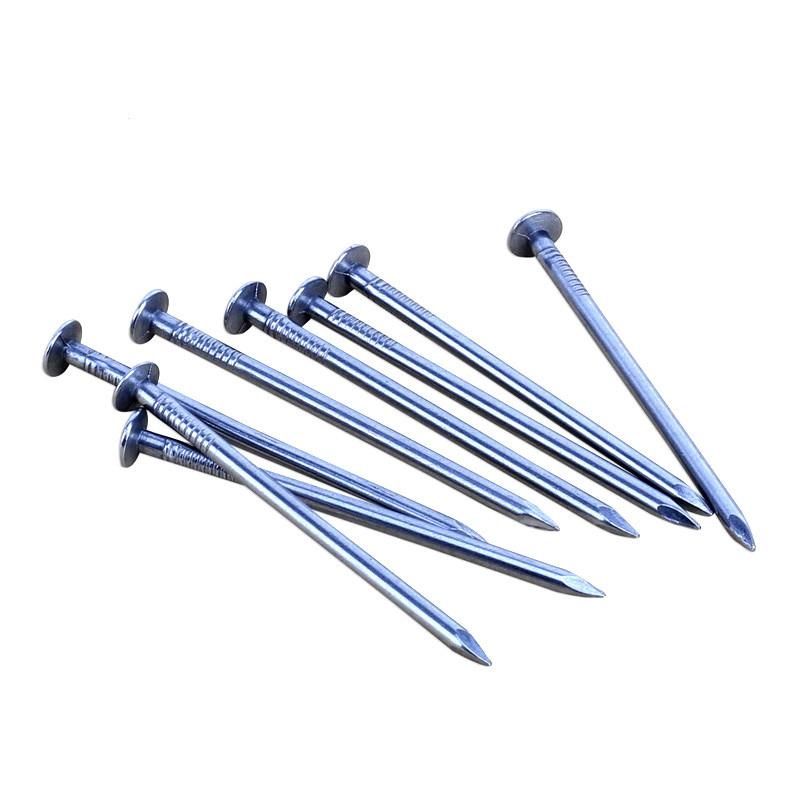Hot Dipped Galvanized Common Iron Wire Nail
